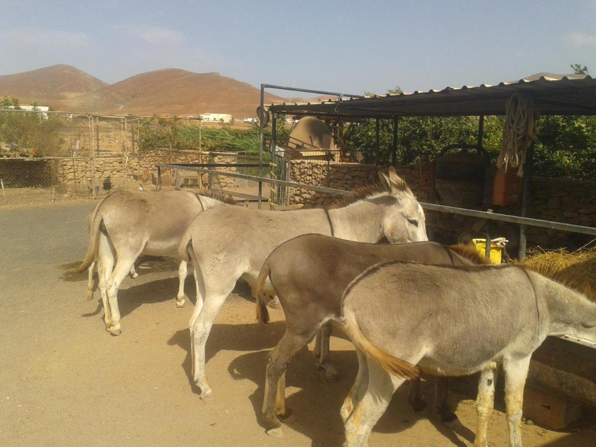 Tiscamanita Agroturismo La Gayria المظهر الخارجي الصورة