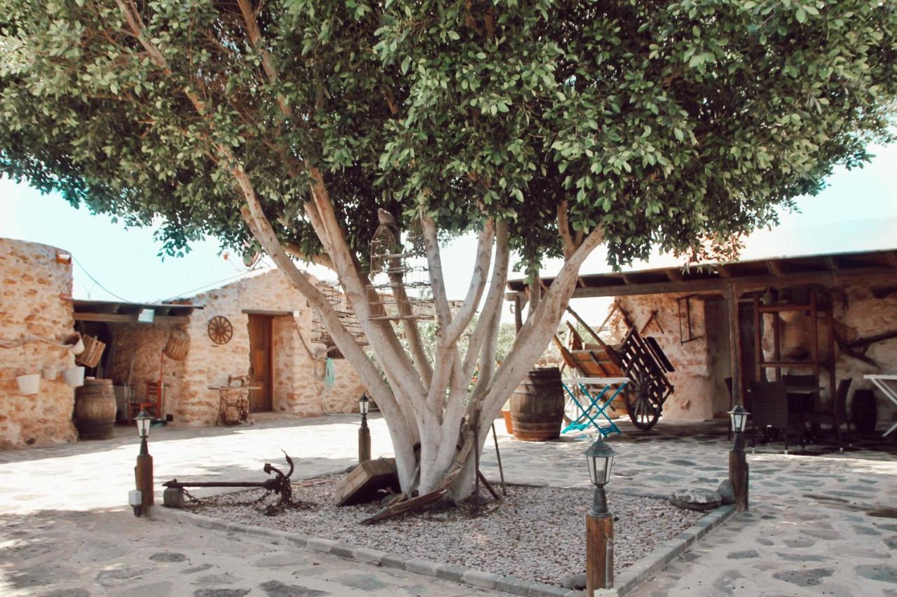 Tiscamanita Agroturismo La Gayria المظهر الخارجي الصورة