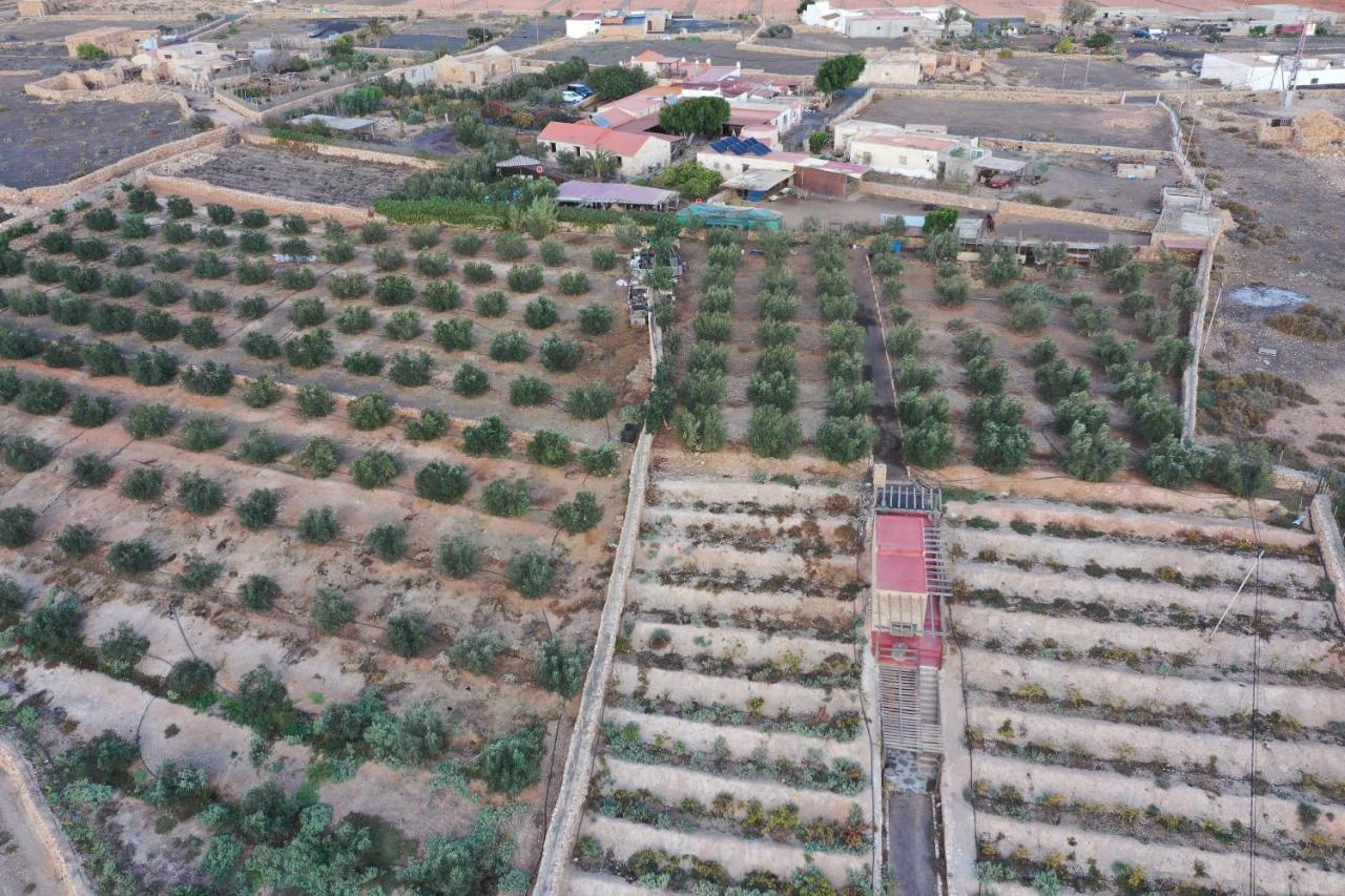Tiscamanita Agroturismo La Gayria المظهر الخارجي الصورة